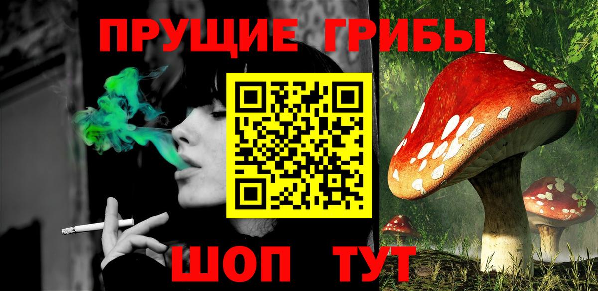 Галлюциногенные грибы прущие грибы Тихвин