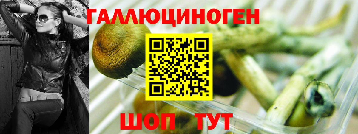 Галлюциногенные грибы мицелий  Вход с VPN  Тихвин 
